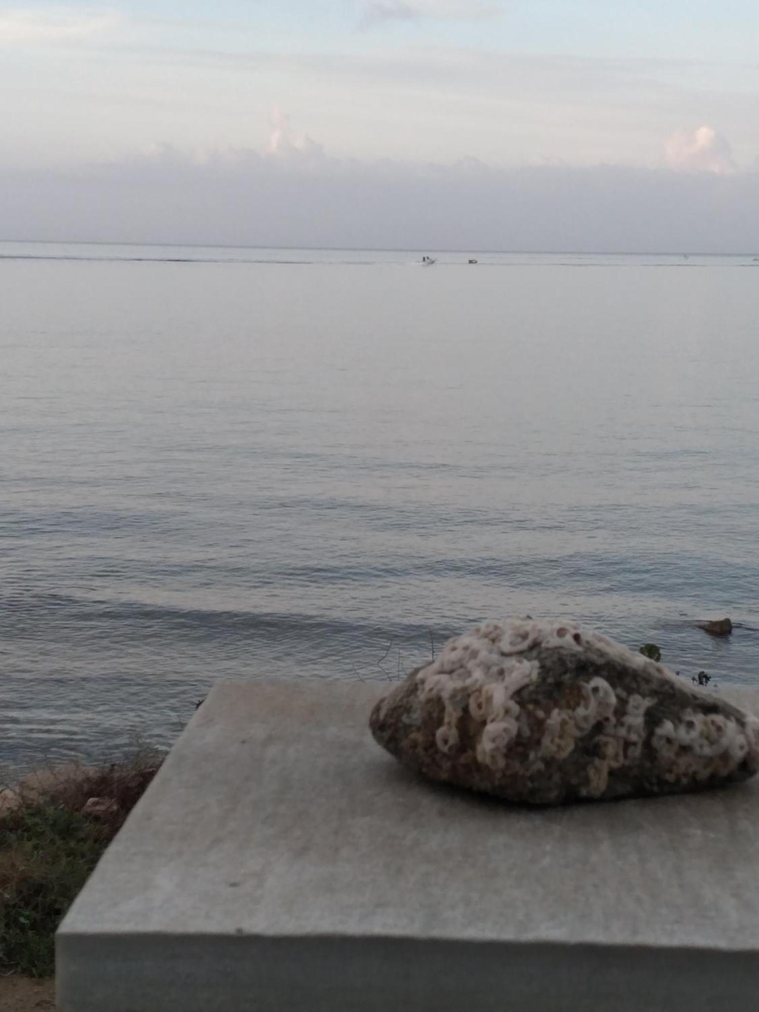Albatross Seafront House Apartment Naxos City Luaran gambar
