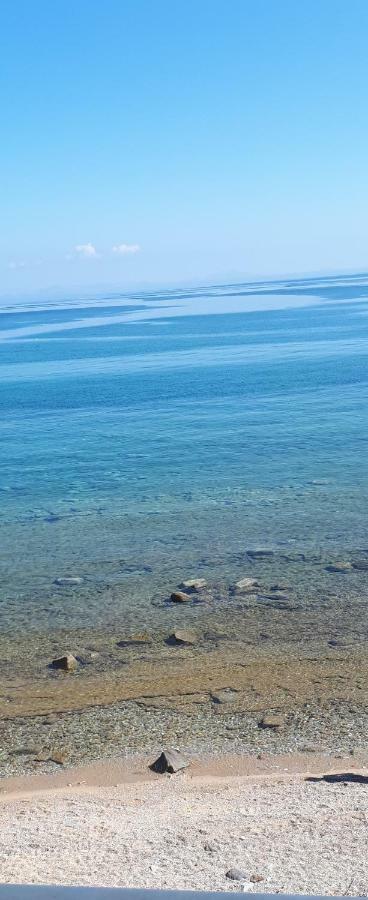 Albatross Seafront House Apartment Naxos City Luaran gambar